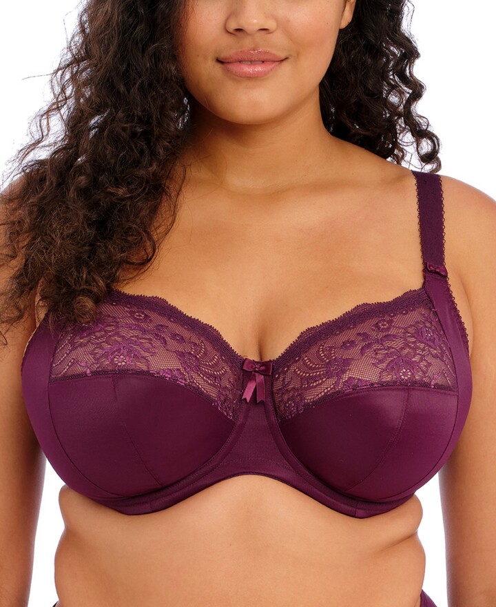 Buy Breezies Wild Rose Lace Seamless Underwire Bra Online at