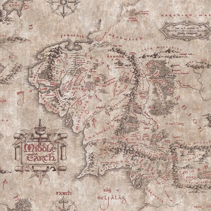Room Mates Warner Bros Brown Lord of the Rings Parchment Middle Earth Map Peel and Stick Wallpaper
