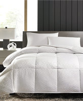 Thumbnail for your product : Hotel Collection CLOSEOUT! Primaloft® Down Blend Twin Comforter