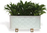 Thumbnail for your product : Port 68 Sanibel Oval Planter