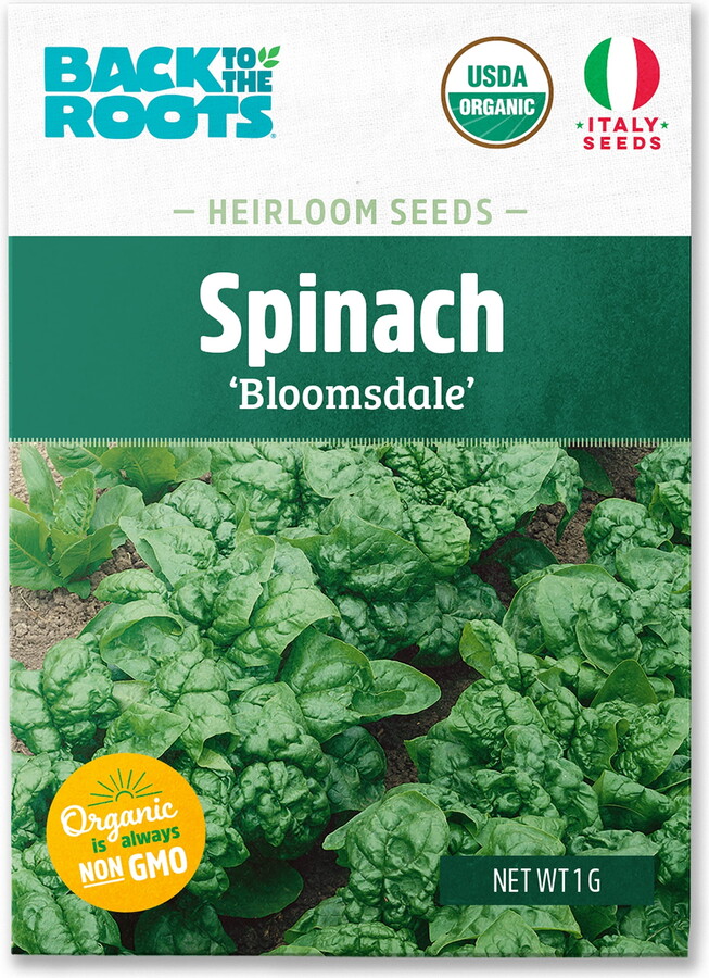 Back to the Roots Organic Spinach Bloomsdale Gardening Seeds - Non GMO, USA SEEDS