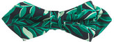 Thumbnail for your product : J.Crew Boys' silk bow tie in leafy print