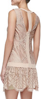 Thumbnail for your product : Twelfth St. By Cynthia Vincent Lace T-Back Mini Dress