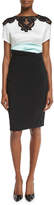 Thumbnail for your product : Talbot Runhof Lomasi Lace-Inset Colorblock Dress, Black
