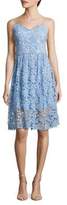Thumbnail for your product : Alexia Admor Embroidered Lace Dress