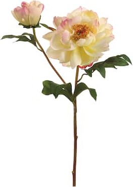 Allstate Cream Cerise Vintage Peony Spray