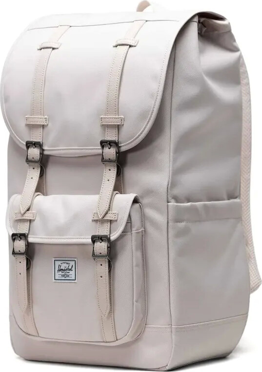 Backpack Daypack Champion Backpack Nordstrom Women's Pink