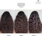 Thumbnail for your product : ALTERNA Haircare CAVIAR Anti-Aging® Replenishing Moisture Masque