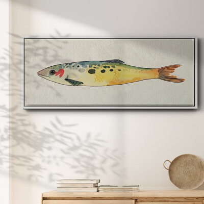 Red Barrel Studio Fanciful Fish I- Framed Canvas