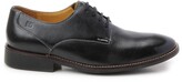 Thumbnail for your product : Sandro Moscoloni 'Olsen' Plain Toe Derby
