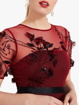 Thumbnail for your product : Phase Eight Collection 8 Anna Embroidered Maxi Dress, Brick Red/Black