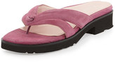 Thumbnail for your product : Taryn Rose Tacy Suede Thong Sandal, Magenta