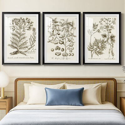 Wildon Home Sepia Botanical Journal I -Custom Framed Premium Print W Matt - 3 Pieces