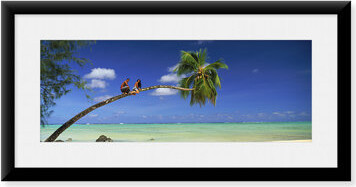 Canora Grey Framed Art Print, Couple on trunk of a palm tree on the beach by Panoramic Images, 16-7/8" x 25-7/8"