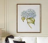Thumbnail for your product : Pottery Barn Hydrangea Botanical Framed Print