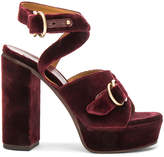 Thumbnail for your product : Chloé Velvet Kingsley Sandals