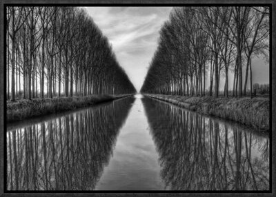 Global Gallery 'Vanished to the Infinite' by Yvette Depaepe Framed Photographic Print