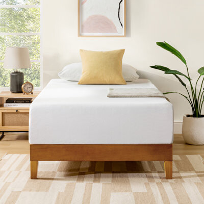 Sleep by Wayfair™ 14" Medium Memory Foam Mattress