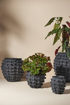 Thumbnail for your product : Anthropologie Minka Textured Pot