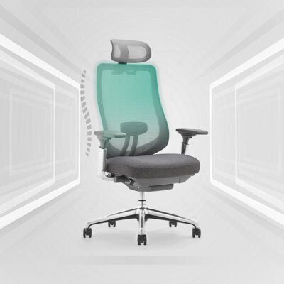 https://img.shopstyle-cdn.com/sim/08/96/089623a48beff4c880c47a0f23603536_best/high-back-ergonomic-swivel-desk-chair-mesh-adjustable-seat-depth-and-lumbar-support.jpg
