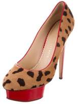 Thumbnail for your product : Charlotte Olympia Dolly Ponyhair Pumps