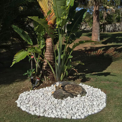 Margo Garden Products Rainforest Beach Landscaping Rocks