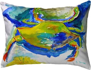 Eickhoff Circles Indoor/Outdoor Pillow 18 x 18 Langley Street Color: Delft