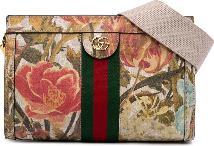 Gucci Pre-Owned 2016-2025 Small GG Supreme Water Flora Ophidia Chain Bag satchel