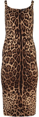 Dolce & Gabbana Leopard Print Fitted Midi Dress