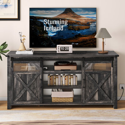 Laurel Foundry Modern Farmhouse Doty Farmhouse TV Stand with Power Outlet Glass Doors