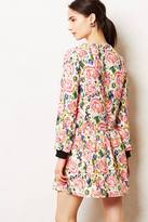 Thumbnail for your product : Anthropologie Celandine Dress