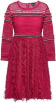 Thumbnail for your product : Just Cavalli Embellished Crochet And Embroidered Tulle Mini Dress