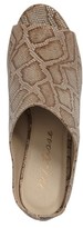 Thumbnail for your product : Matisse Women's Misty Block Heel Mule