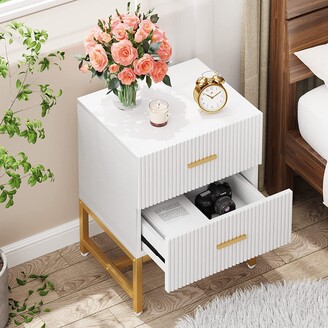Farfarview Nightstand with 2 Drawer, Modern Bedside Table for Bedroom, Side Table