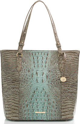 brahmin bluebell