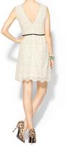 Thumbnail for your product : Ark & Co Roma Lace Dress