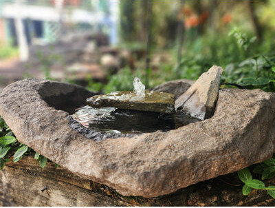 Millwood Pines One Stack