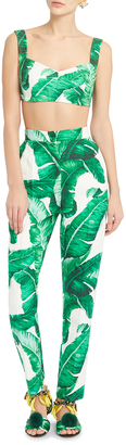 Dolce & Gabbana Palm Leaf Printed Bra Top