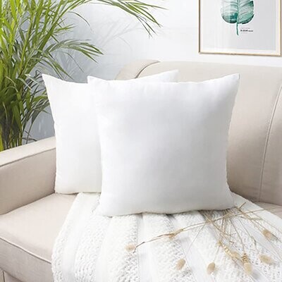 Alwyn Home Throw Pillow Insert, Small Pillow Square Pillows, Throw Pillows  For Bed, Sofas, Chairs, Pillows Decorative Throw Pillows Sofa Pillows Couch  Pillow (2 - ShopStyle