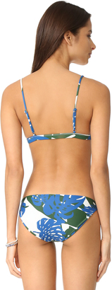 Mikoh Belize Triangle Bikini Top