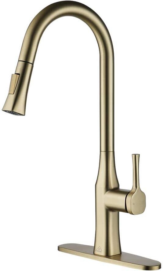 CASAINC Single Handle Pull Down Sprayer Kitchen Faucet with Dual-Function Pull Out Sprayer Head in Brushed Gold