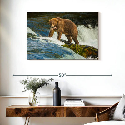 Brampt Fearless Grizzly Bear