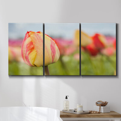 Wildon Home Variety Of Flowers I Framed On Canvas 3 Pieces Set