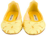 Thumbnail for your product : Manolo Blahnik Floral Flats