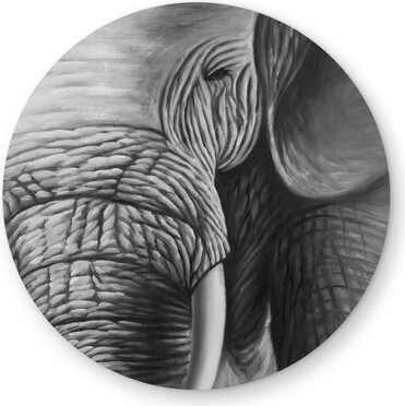 Begin Edition International Inc. Elephant Monochrome Round Outdoor Area Rug for Living Room