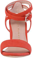 Thumbnail for your product : Leo Coral Suede Sandal