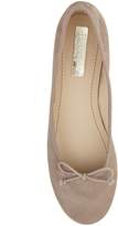 Thumbnail for your product : Phase Eight Suede Ballerina Shoes