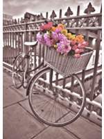 Thumbnail for your product : Graham & Brown Bicycle wall art