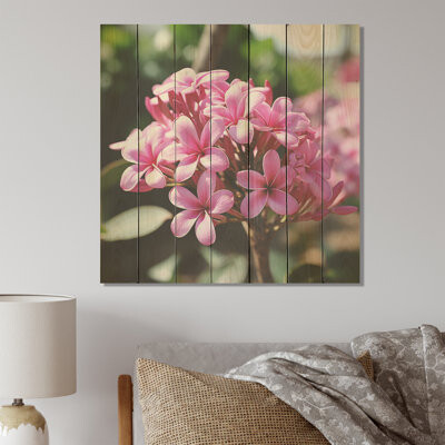 Ebern Designs Pink And Green Plumeria Paradise - Plumeria On Wood Print