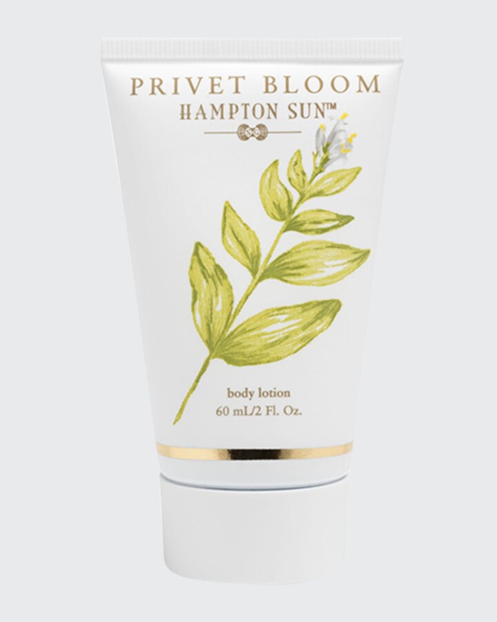 Hampton Sun 2 oz. Privet Bloom Body Lotion ShopStyle